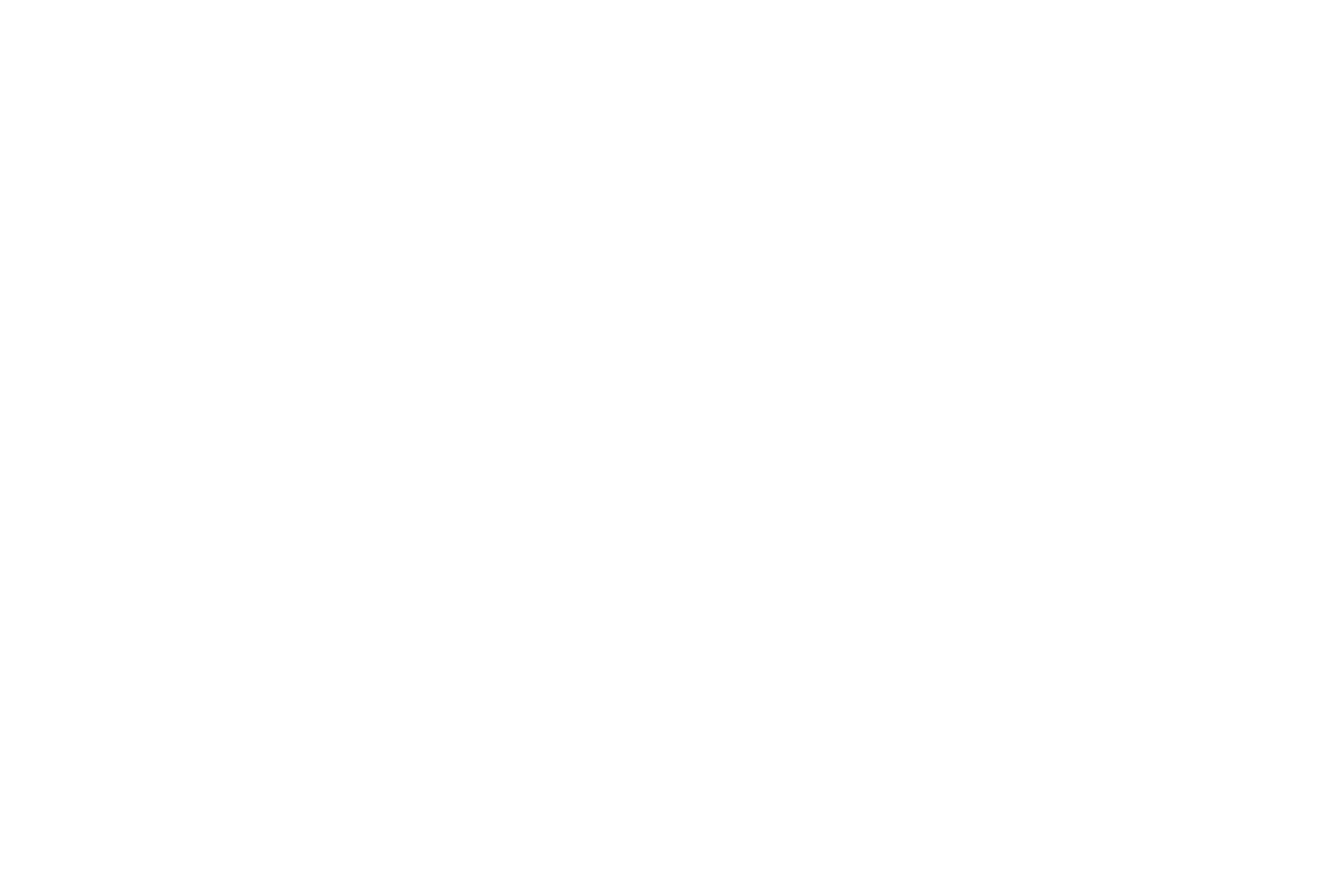 Red Rocks Web Development Logo (white variant)